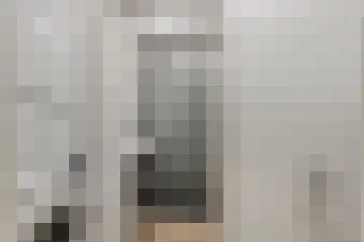 Generaal van Hamsingel 8 Breda thumbnail 21
