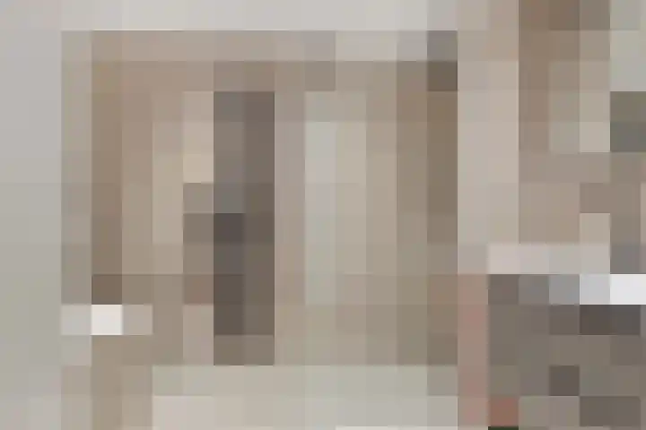 Generaal van Hamsingel 8 Breda thumbnail 25