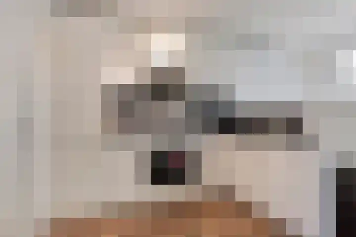 Generaal van Hamsingel 8 Breda thumbnail 35