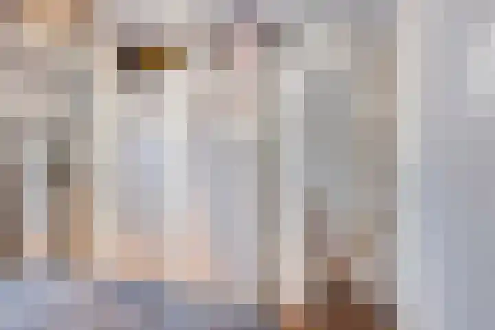 Generaal van Hamsingel 8 Breda thumbnail 38