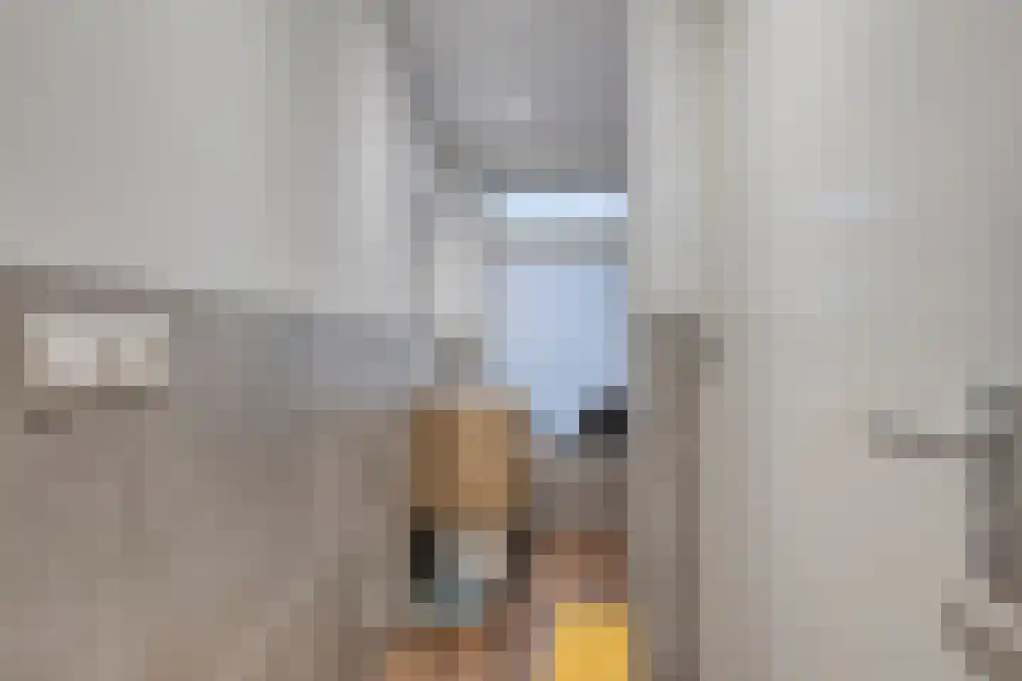 Generaal van Hamsingel 8 Breda thumbnail 38