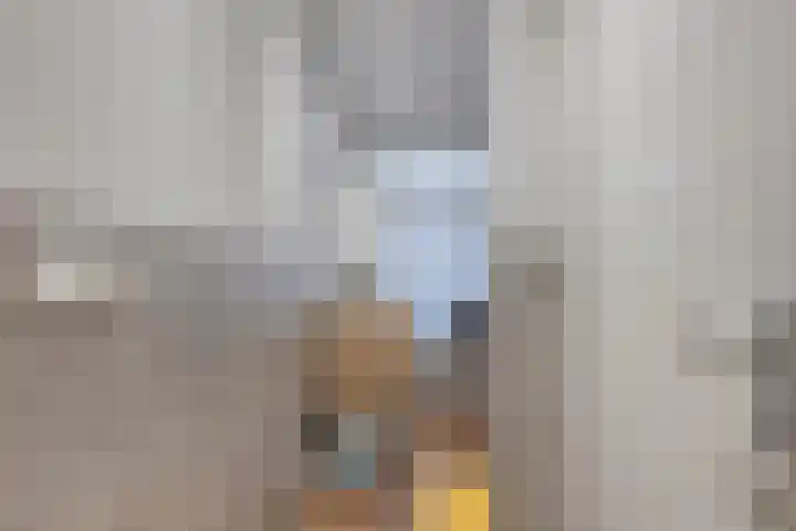 Generaal van Hamsingel 8 Breda thumbnail 39