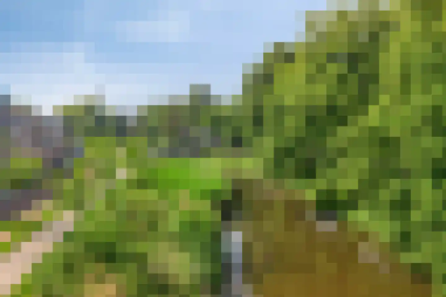 Generaal van Hamsingel 8 Breda thumbnail 4