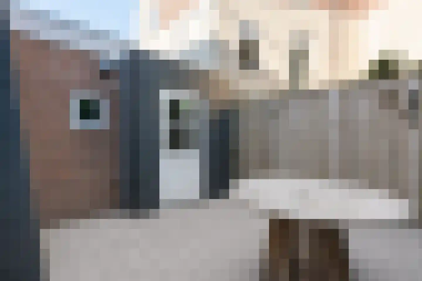 Generaal van Hamsingel 8 Breda thumbnail 41