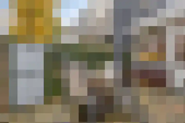 Generaal van Hamsingel 8 Breda thumbnail 42