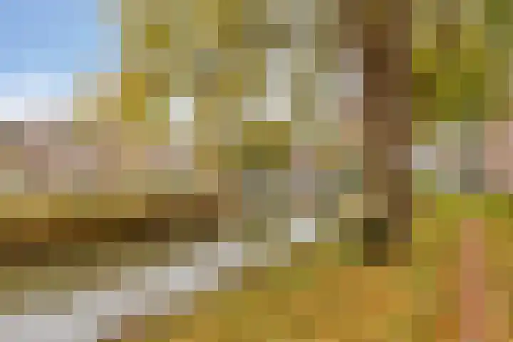 Generaal van Hamsingel 8 Breda thumbnail 43