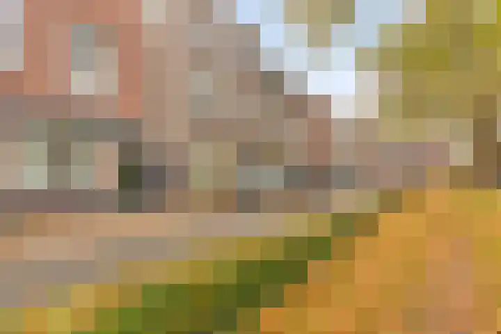 Generaal van Hamsingel 8 Breda thumbnail 44