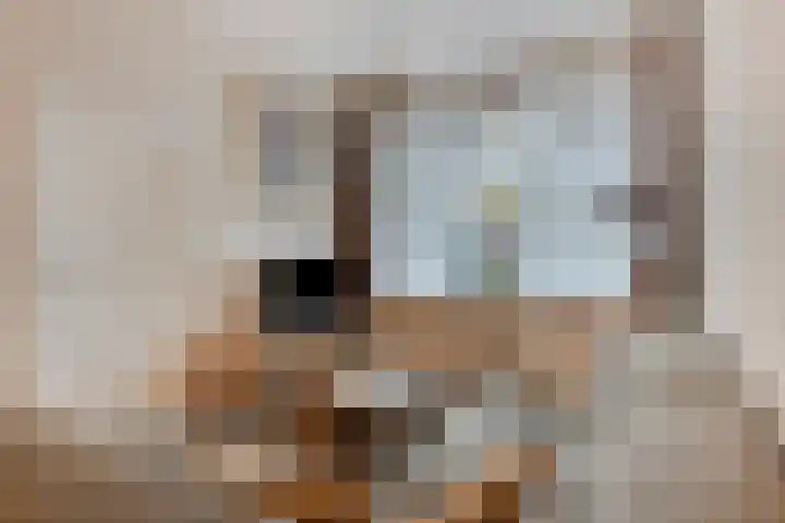 Generaal van Hamsingel 8 Breda thumbnail 6