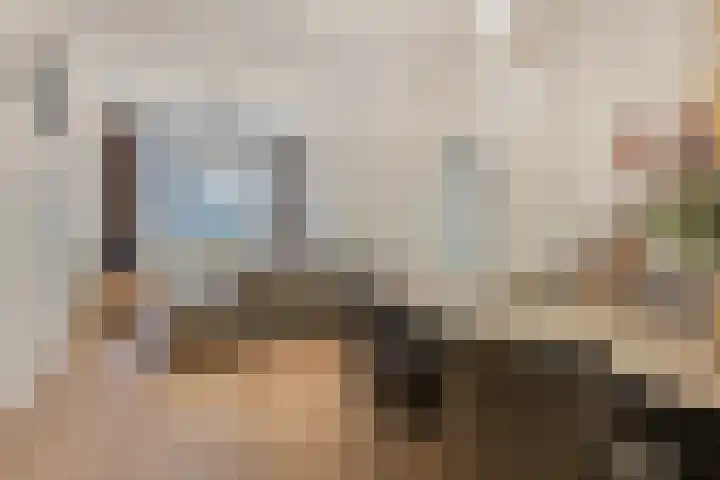 Generaal van Hamsingel 8 Breda thumbnail 8