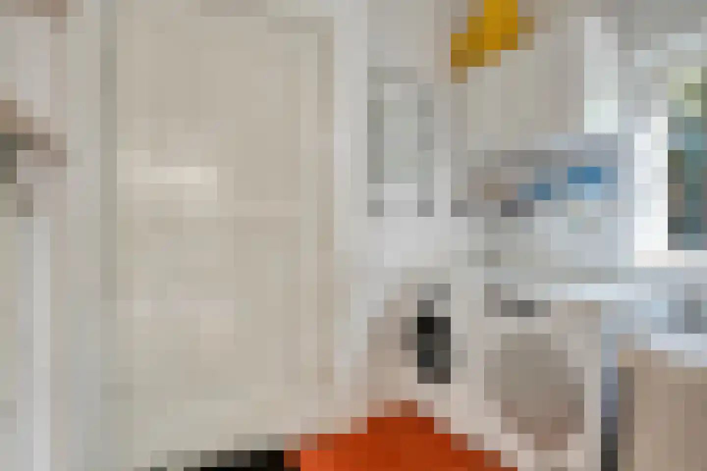 Generaal Van Heutszlaan 14 Apeldoorn thumbnail 14