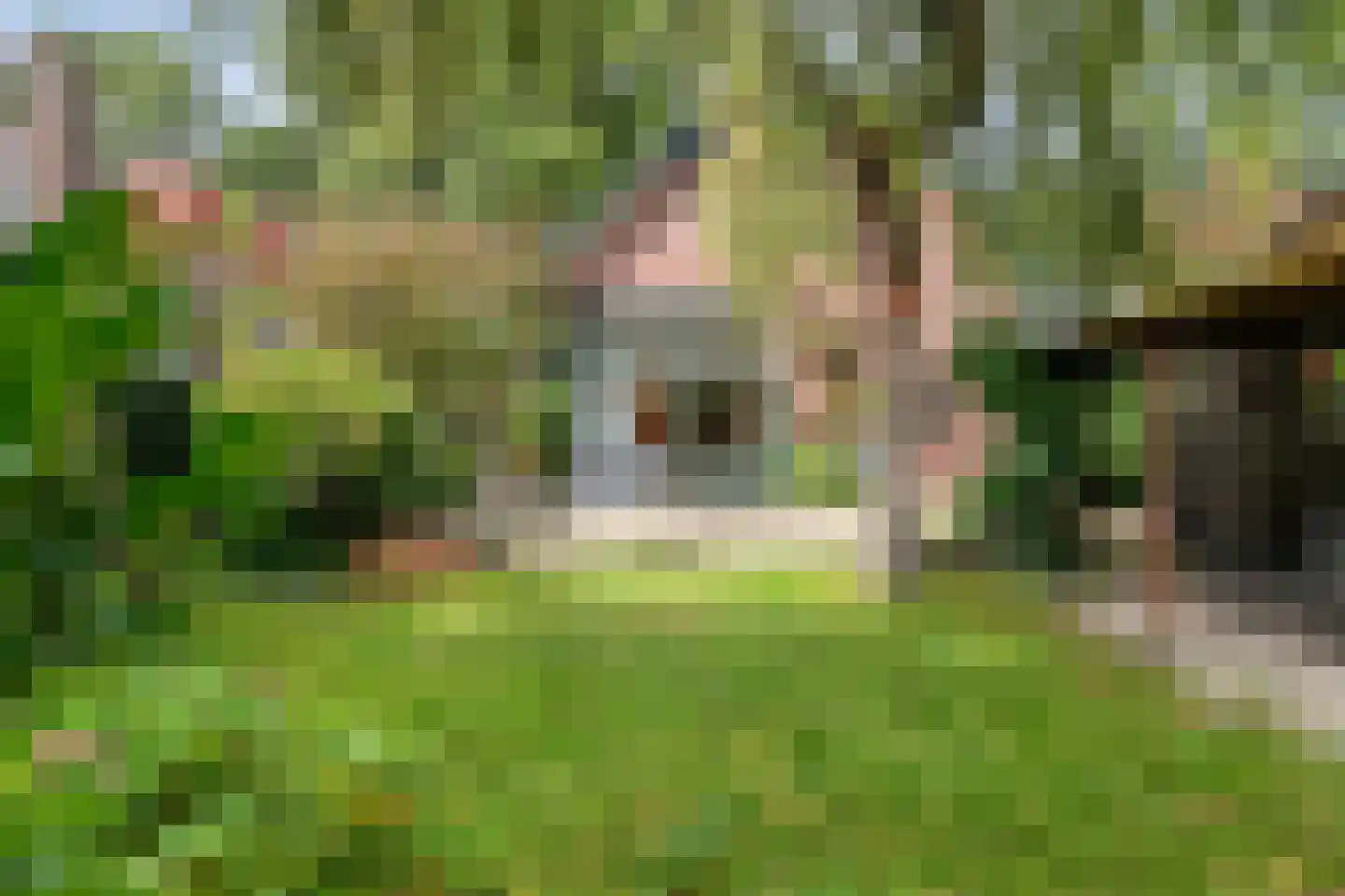 Generaal Van Heutszlaan 14 Apeldoorn thumbnail 29