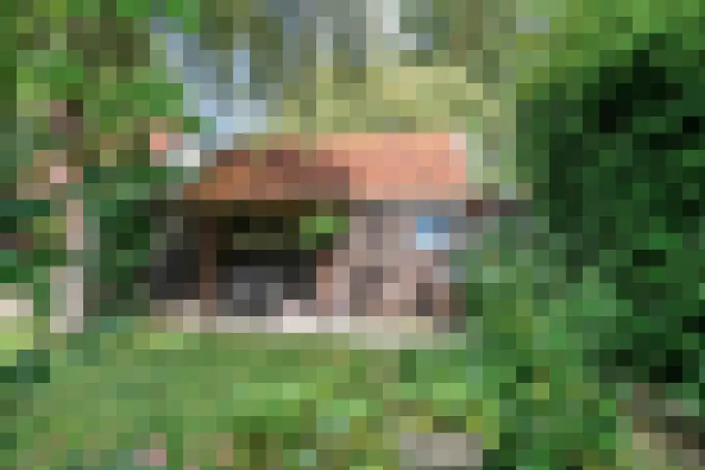 Generaal Van Heutszlaan 14 Apeldoorn thumbnail 31