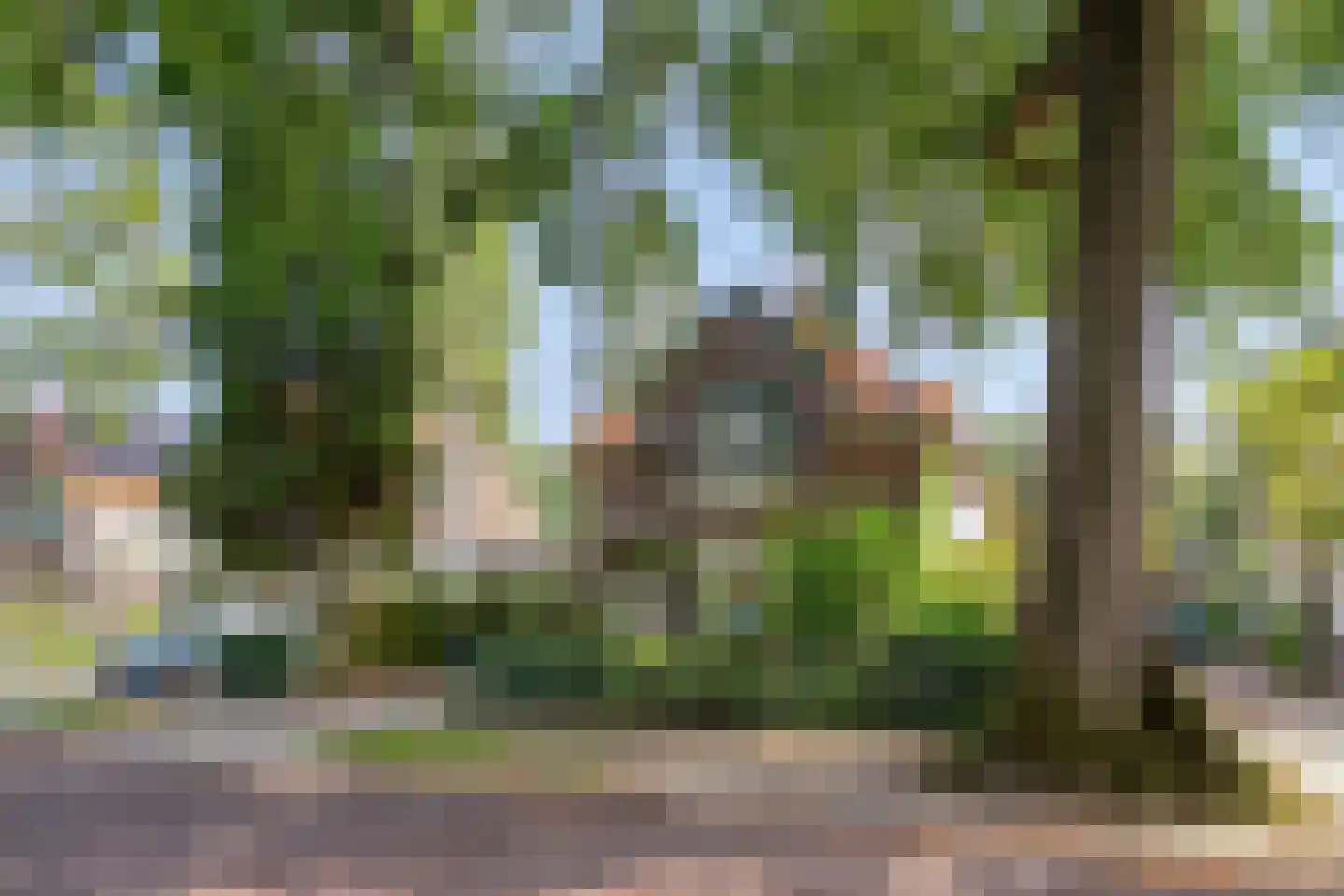 Generaal Van Heutszlaan 14 Apeldoorn thumbnail 36