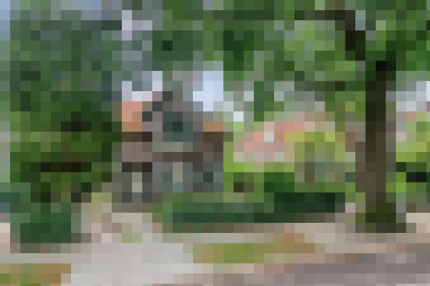 Generaal Van Heutszlaan 14 Apeldoorn thumbnail 37