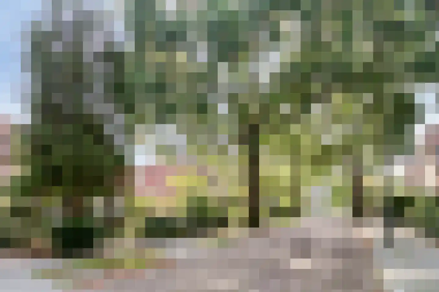 Generaal Van Heutszlaan 14 Apeldoorn thumbnail 40