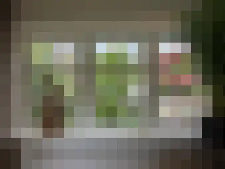 Generaal Van Heutszlaan 156 Apeldoorn thumbnail 11