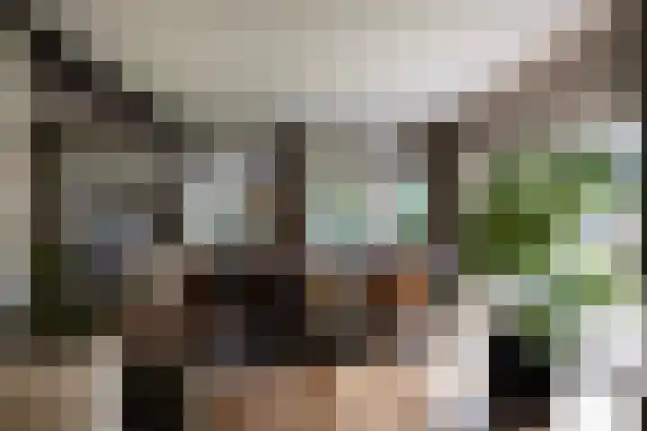 Generaal Van Heutszlaan 156 Apeldoorn thumbnail 12