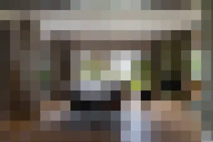 Generaal Van Heutszlaan 156 Apeldoorn thumbnail 13