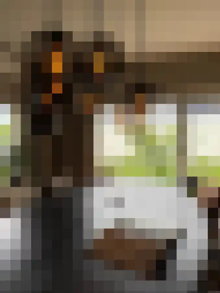 Generaal Van Heutszlaan 156 Apeldoorn thumbnail 14
