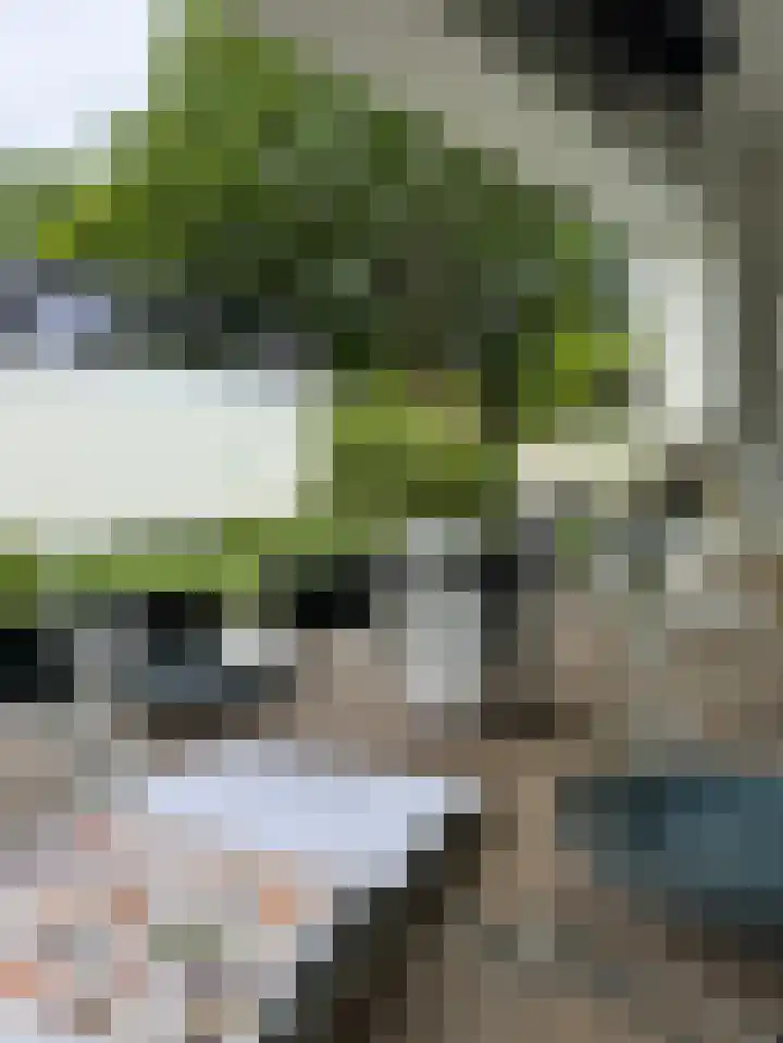 Generaal Van Heutszlaan 156 Apeldoorn thumbnail 22