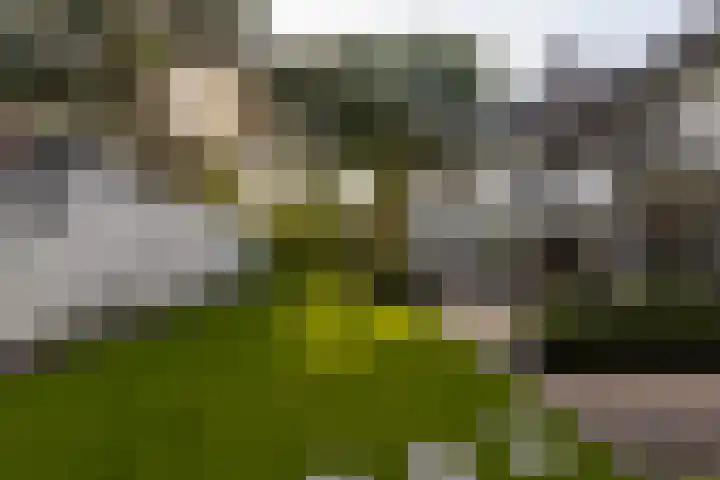 Generaal Van Heutszlaan 156 Apeldoorn thumbnail 24