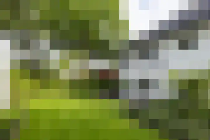 Generaal Van Heutszlaan 156 Apeldoorn thumbnail 25