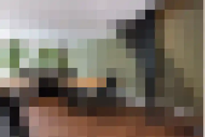 Generaal Van Heutszlaan 156 Apeldoorn thumbnail 33