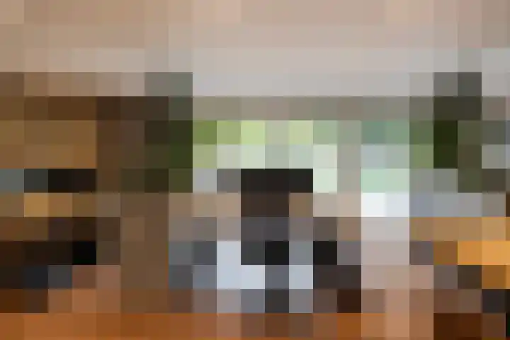 Generaal Van Heutszlaan 156 Apeldoorn thumbnail 34