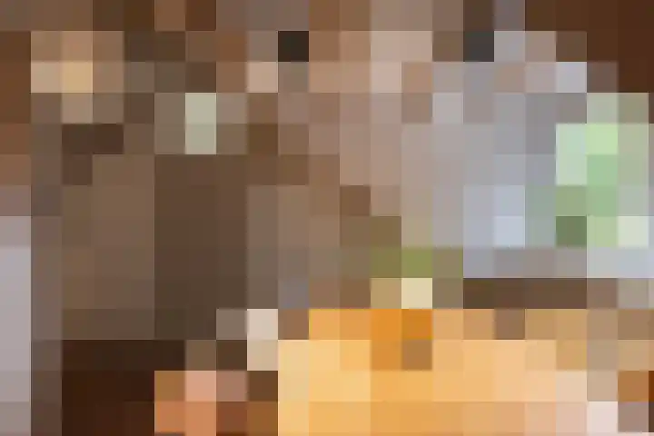 Generaal Van Heutszlaan 156 Apeldoorn thumbnail 38