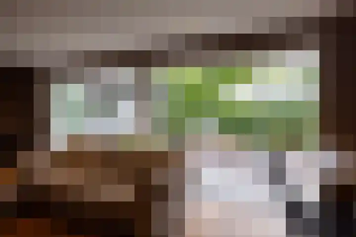 Generaal Van Heutszlaan 156 Apeldoorn thumbnail 43