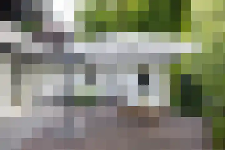 Generaal Van Heutszlaan 156 Apeldoorn thumbnail 46