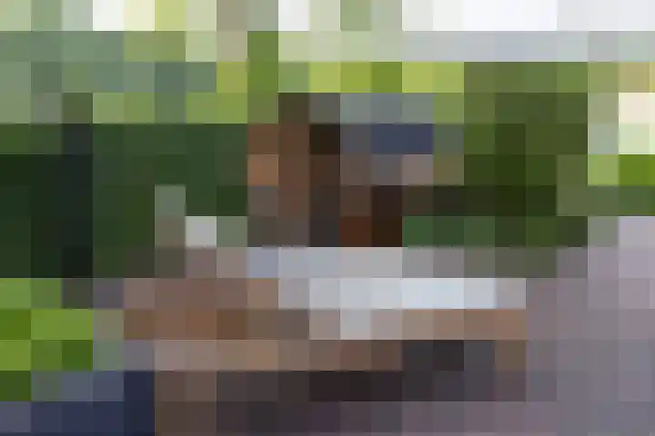 Generaal Van Heutszlaan 156 Apeldoorn thumbnail 47