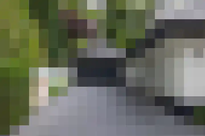 Generaal Van Heutszlaan 156 Apeldoorn thumbnail 70