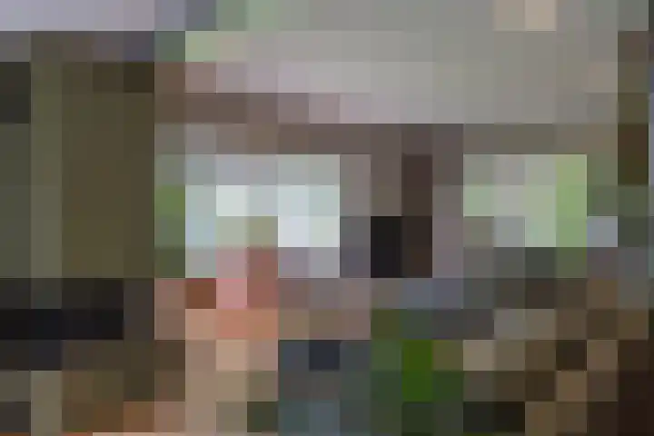 Generaal Van Heutszlaan 156 Apeldoorn thumbnail 8
