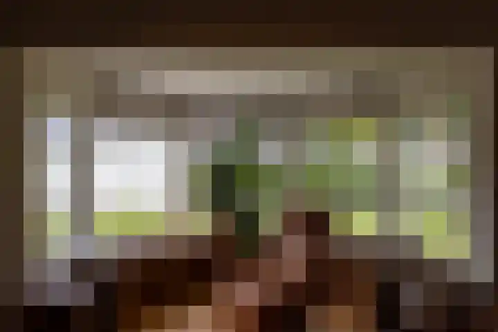 Generaal Van Heutszlaan 156 Apeldoorn thumbnail 9