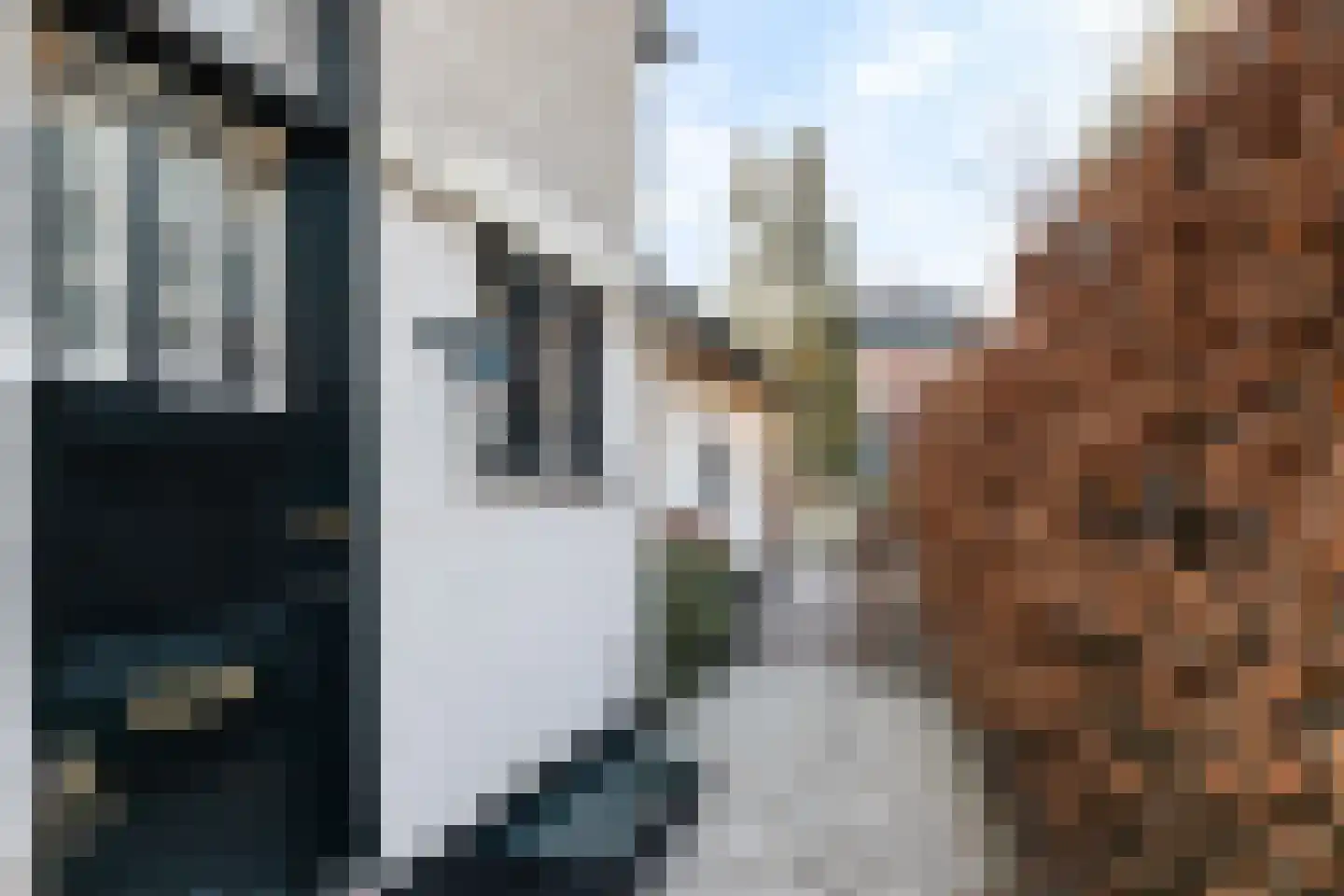 Generaal Van Heutszlaan 21 Apeldoorn thumbnail 33