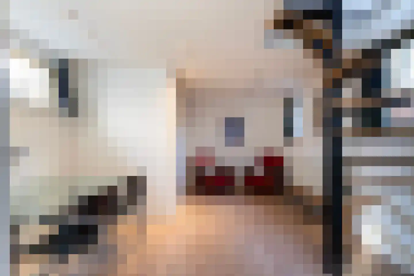 Generaal Van Heutszlaan 21 Apeldoorn thumbnail 34