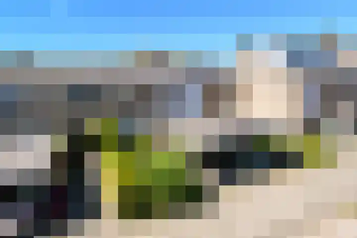 Generaal van Heutszlaan 31 Eindhoven thumbnail 5