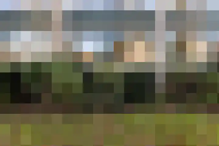 Generaal Van Heutszlaan 46 Apeldoorn thumbnail 28