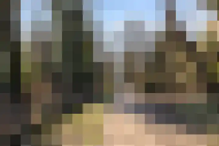 Generaal Van Heutszlaan 46 Apeldoorn thumbnail 5
