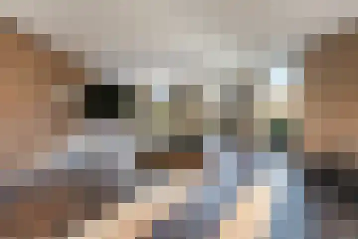 Generaal Van Heutszlaan 46 Apeldoorn thumbnail 7