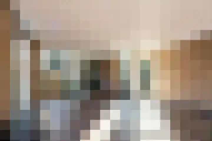 Generaal Van Heutszlaan 46 Apeldoorn thumbnail 8