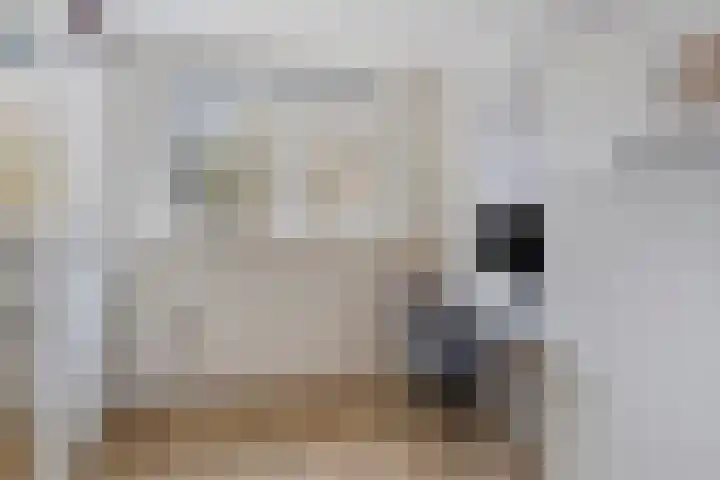 Generaal van Heutszlaan 55 Eindhoven thumbnail 13
