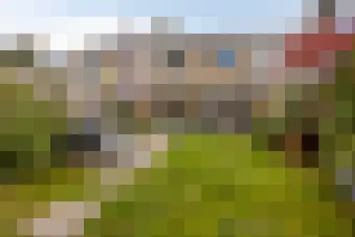 Generaal van Heutszlaan 55 Eindhoven thumbnail 4
