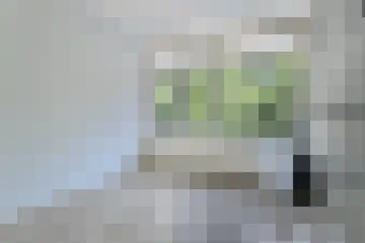 Generaal Van Heutszlaan 56 Apeldoorn thumbnail 13