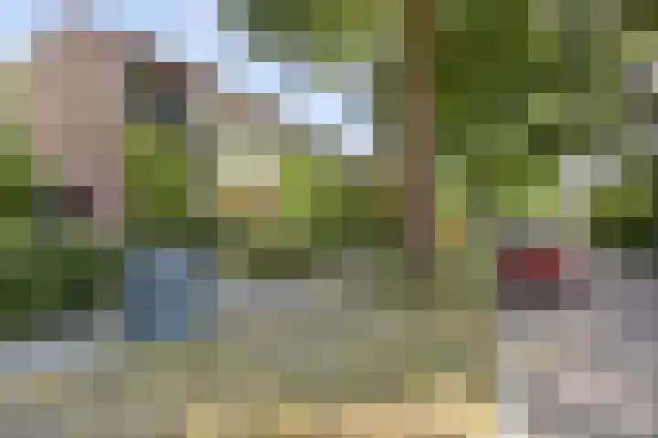 Generaal Van Heutszlaan 56 Apeldoorn thumbnail 17