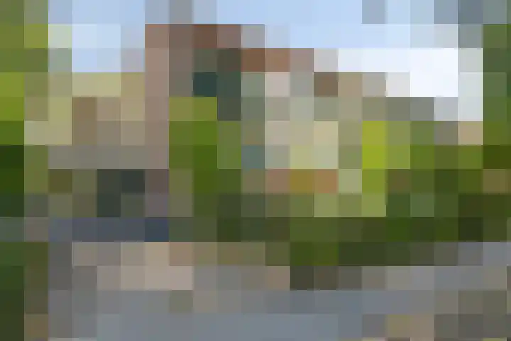 Generaal Van Heutszlaan 56 Apeldoorn thumbnail 23