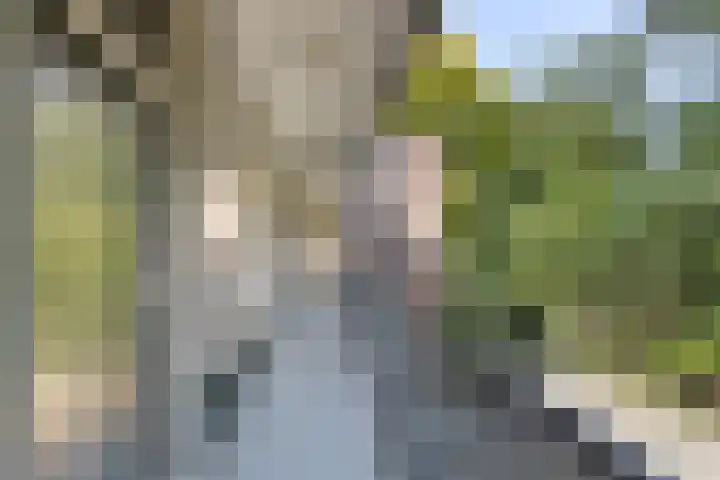 Generaal Van Heutszlaan 56 Apeldoorn thumbnail 5