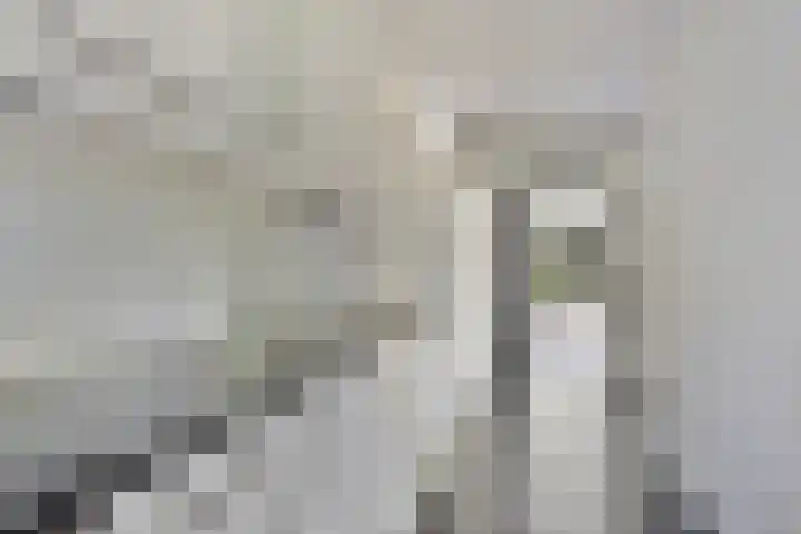 Generaal Van Heutszlaan 56 Apeldoorn thumbnail 6