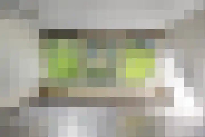 Generaal Van Heutszlaan 56 Apeldoorn thumbnail 8